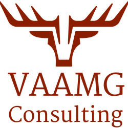VAAMG Consulting