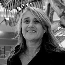 Gül Dölan MD, Ph.D