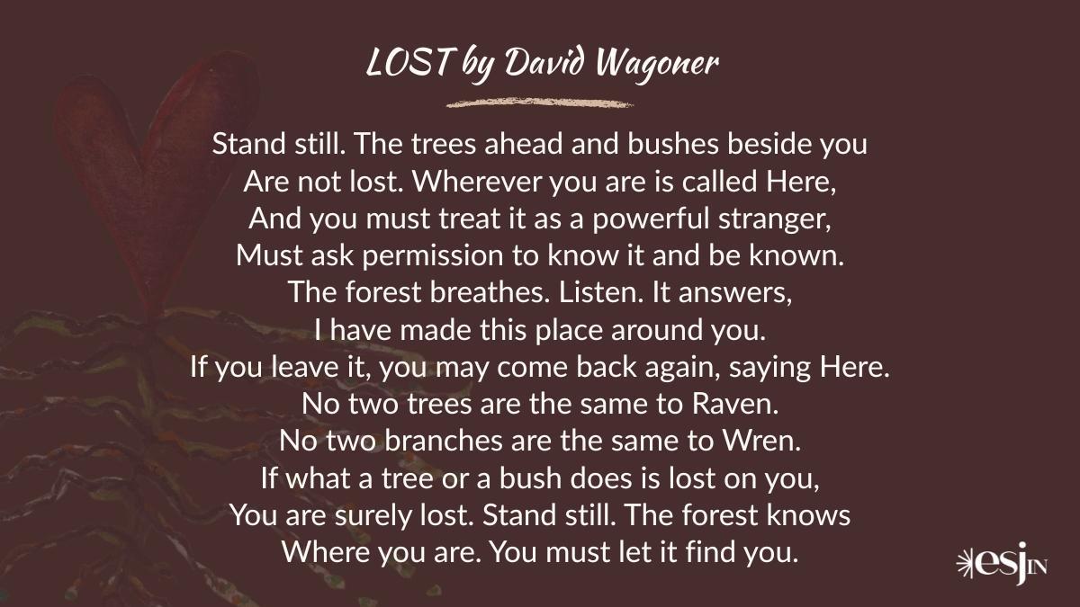 LOST by David Wagoner