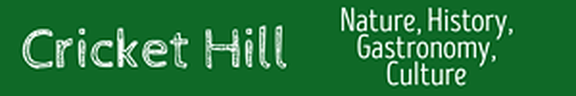 Cricket Hill