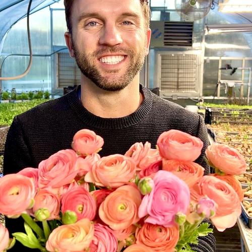 Growing Ranunculus