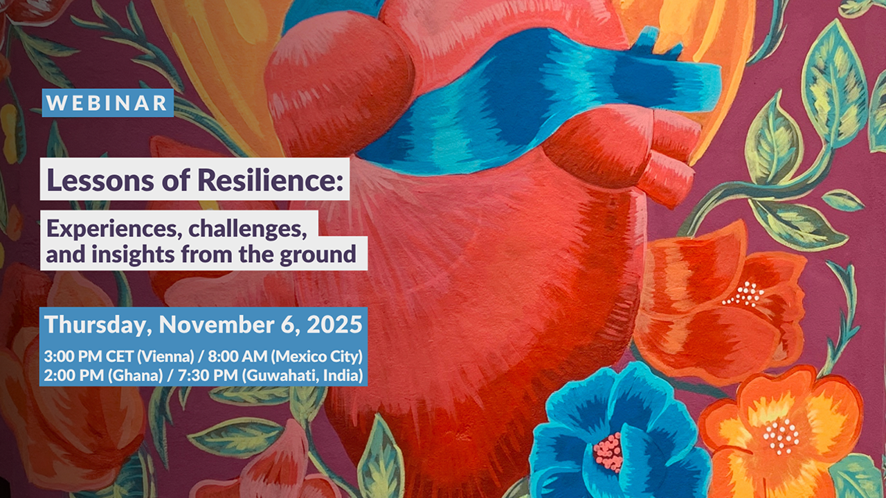Lessons of Resilience: Experiences, challenges, and insights from the ground