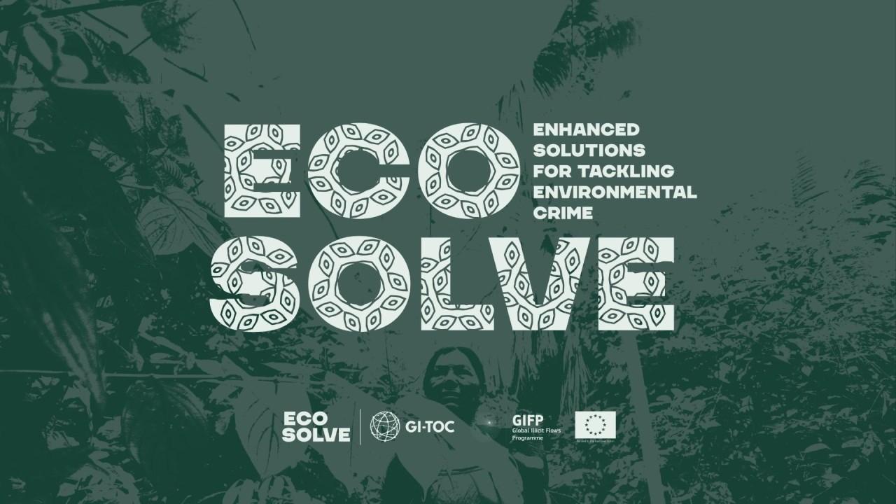 New Frontiers in the Fight Against Environmental and Wildlife Crimes 2025